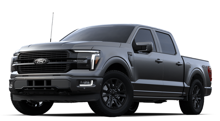 2024 Ford F-150 Vehicle Photo in Terrell, TX 75160